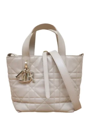 DIOR Toujours Vertical Small 16