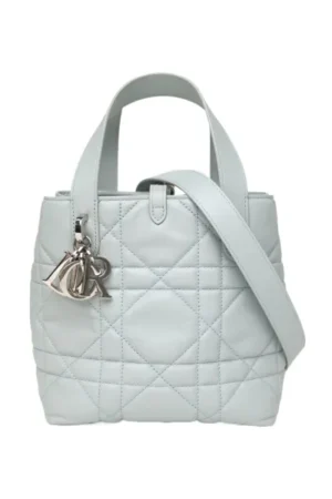 DIOR Toujours Vertical Small 16